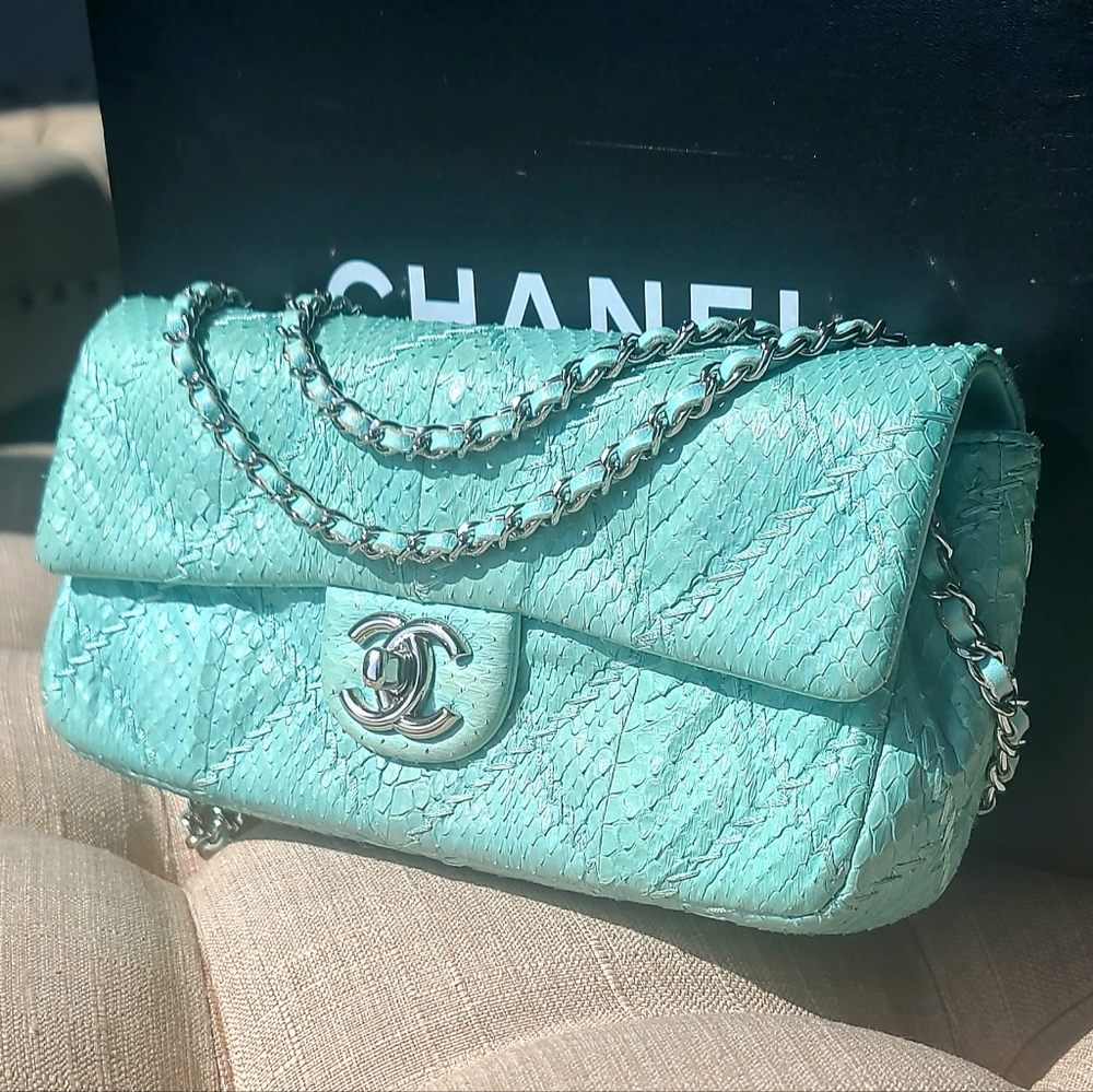Chanel Python Classic Flap Bag - image 1
